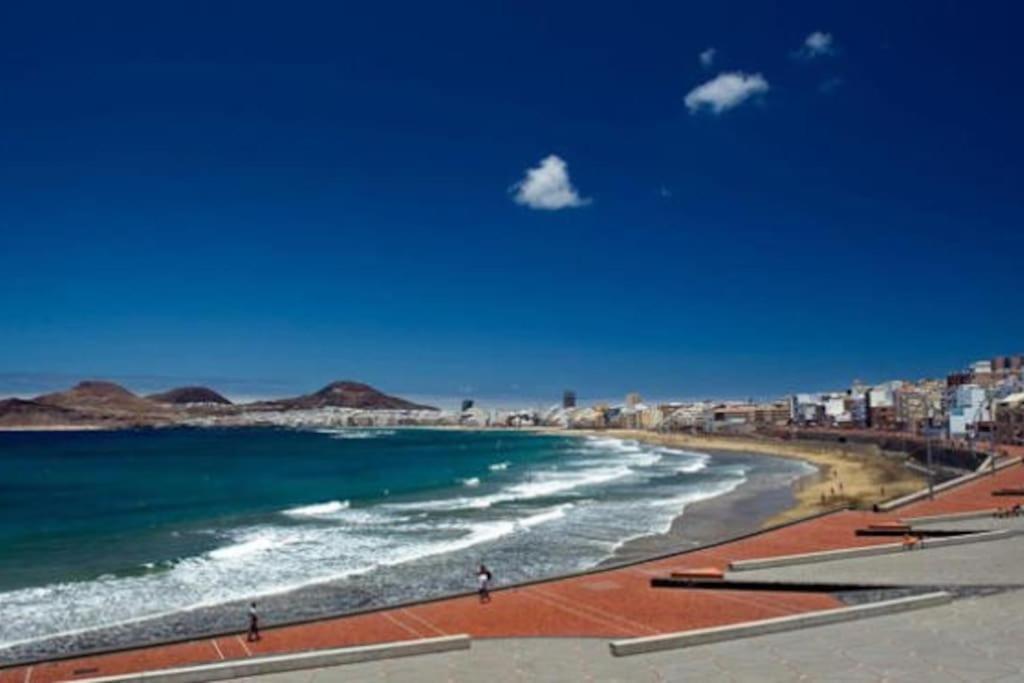 לאס פאלמס דה גראן קנאריה Canteras Beach 40 מראה חיצוני תמונה